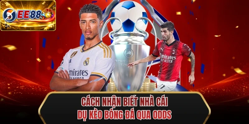 cach nhan biet nha cai du keo bong da qua odds cach nhan biet nha cai du keo bong da qua odds