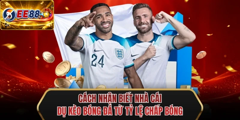 cach nhan biet nha cai du keo bong da tu ty le chap bong cach nhan biet nha cai du keo bong da tu ty le chap bong