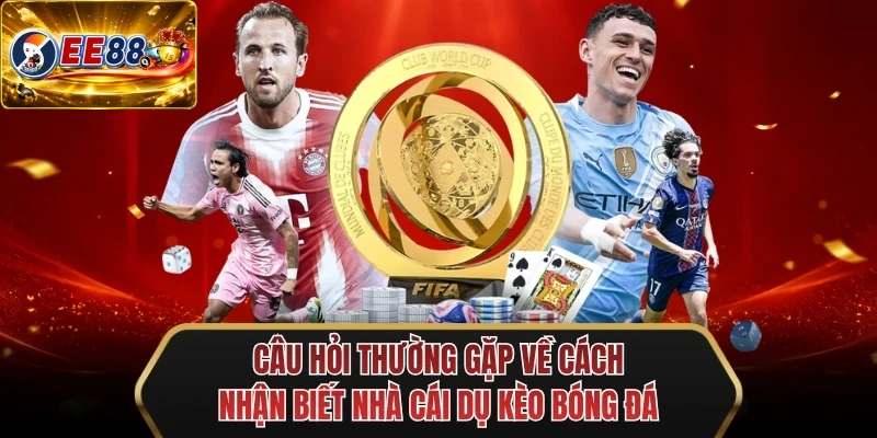 cau hoi thuong gap ve cach nhan biet nha cai du keo bong da cau hoi thuong gap ve cach nhan biet nha cai du keo bong da